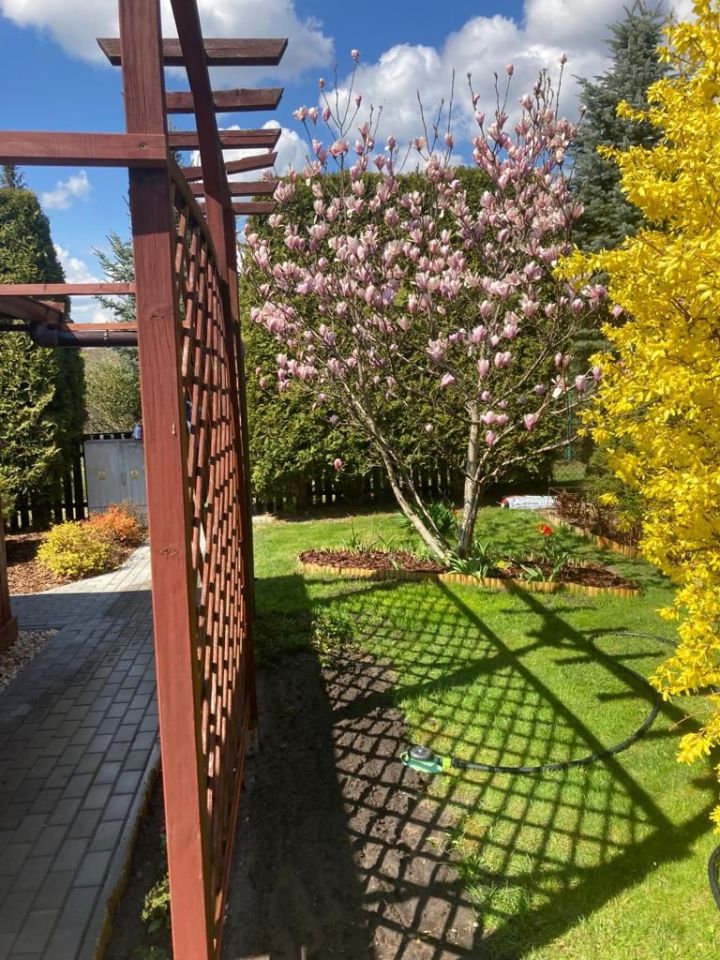 Działka rod Iława, ul. Michała Kajki. Zdjęcie 5