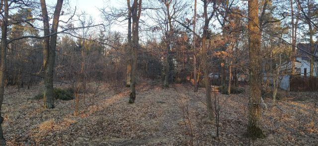 Działka leśna Warszawa Białołęka, ul. Insurekcji. Zdjęcie 1