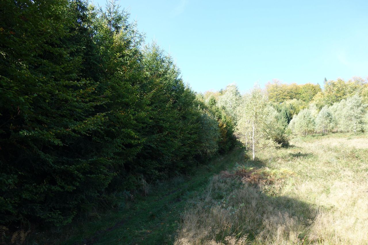 Działka inwestycyjna Brenna Leśnica, ul. Orłowa. Zdjęcie 7