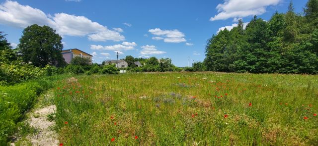 Działka budowlana Białopole, ul. Żołnierzy I AWP. Zdjęcie 3