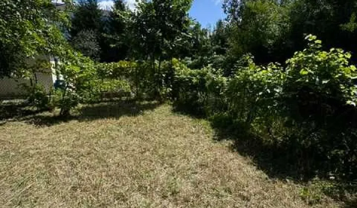 Działka rod Warszawa Ochota