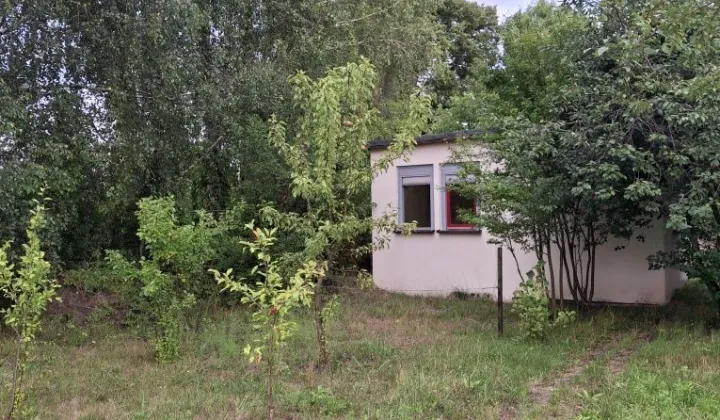 Działka rekreacyjna Stęszew, ul. Kwiatowa