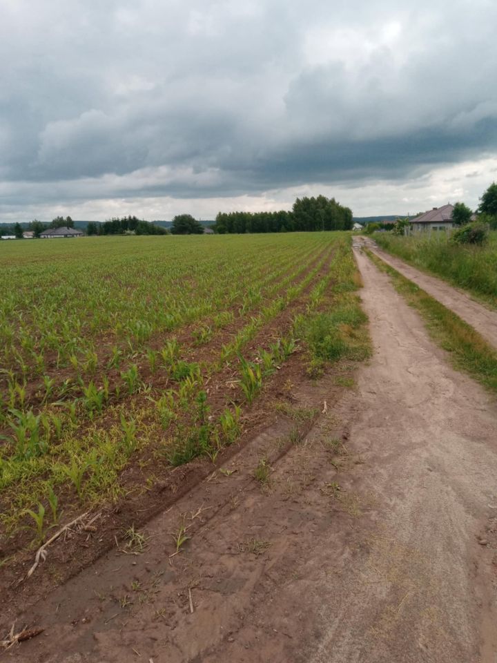 Działka budowlana Nowa Wieś, ul. Cicha. Zdjęcie 3