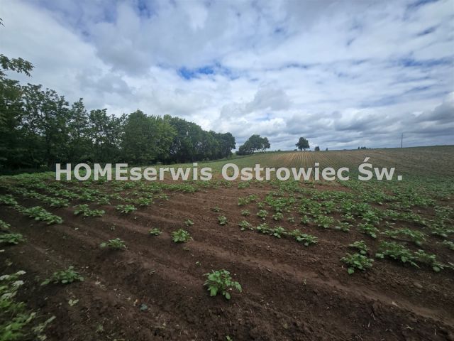 dom wolnostojący, 1 pokój Krzczonowice. Zdjęcie 14
