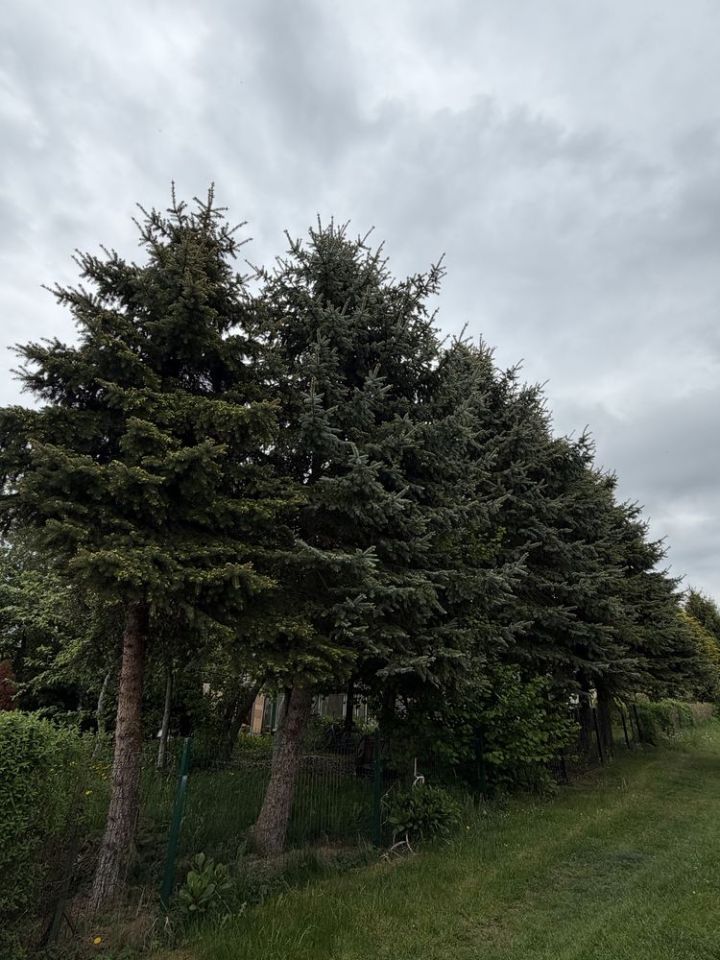 Działka rod Świnoujście, ul. Mazowiecka. Zdjęcie 3