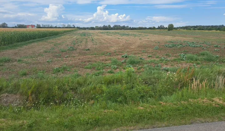 Działka rolno-budowlana Sycyna-Kolonia