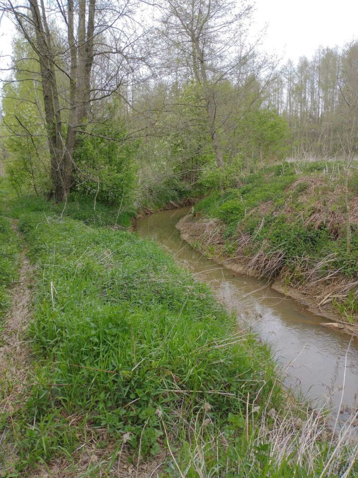 Działka inwestycyjna Nowa Jedlanka. Zdjęcie 5