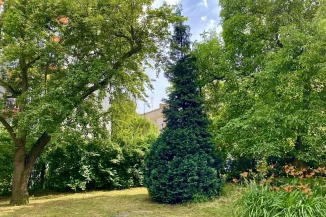 Mieszkanie 3-pokojowe Częstochowa Ostatni Grosz, ul. Przerwy-Tetmajera. Zdjęcie 12