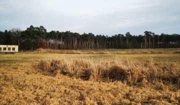 Działka rolna Piaskowo