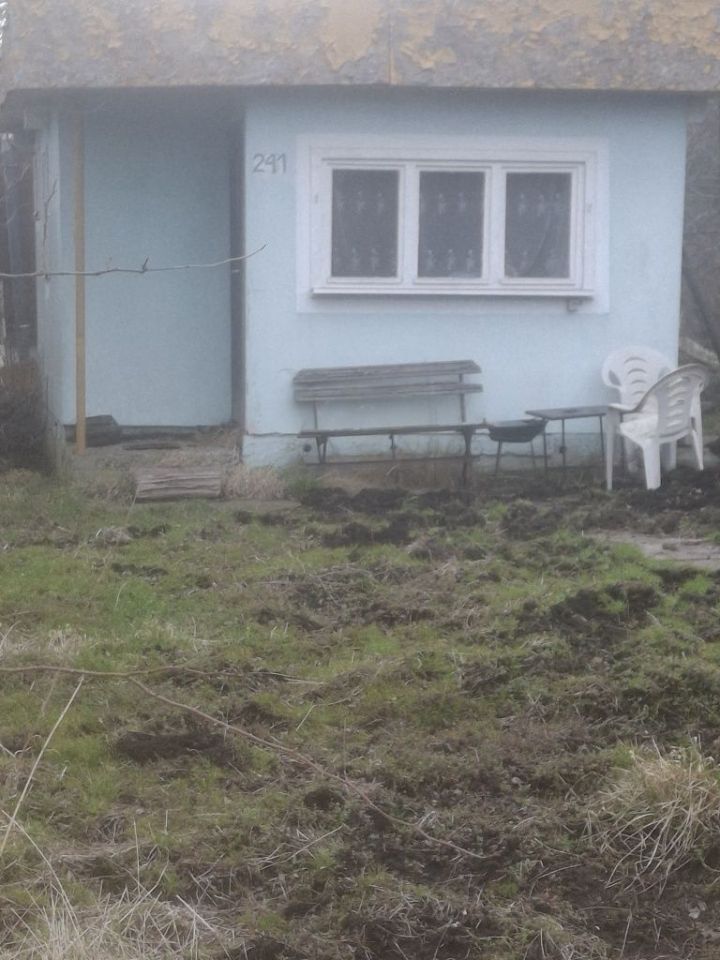 Działka rod Gdańsk Zaspa, ul. Zaścianek. Zdjęcie 6