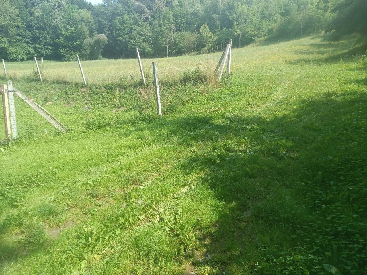 Działka rolna Godowa. Zdjęcie 5