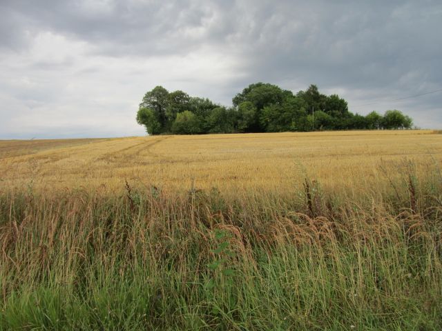 Działka budowlana Kiełczewice Górne. Zdjęcie 1