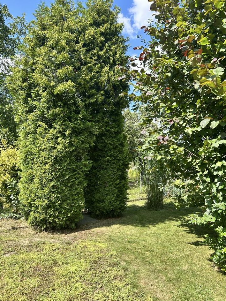 Działka rod Jawor. Zdjęcie 2