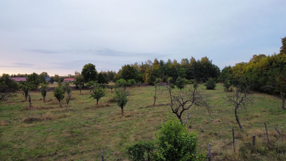 Działka inwestycyjna Uraz, ul. Dębowa. Zdjęcie 7