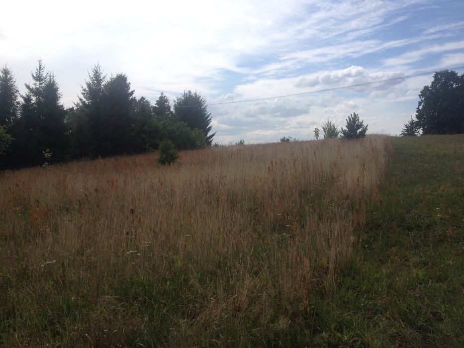 Działka budowlana Garcz. Zdjęcie 6