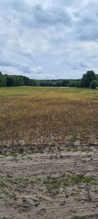 Działka rolna Augustów. Zdjęcie 4