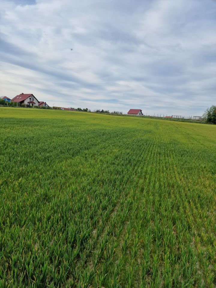 Działka budowlana Święte. Zdjęcie 3