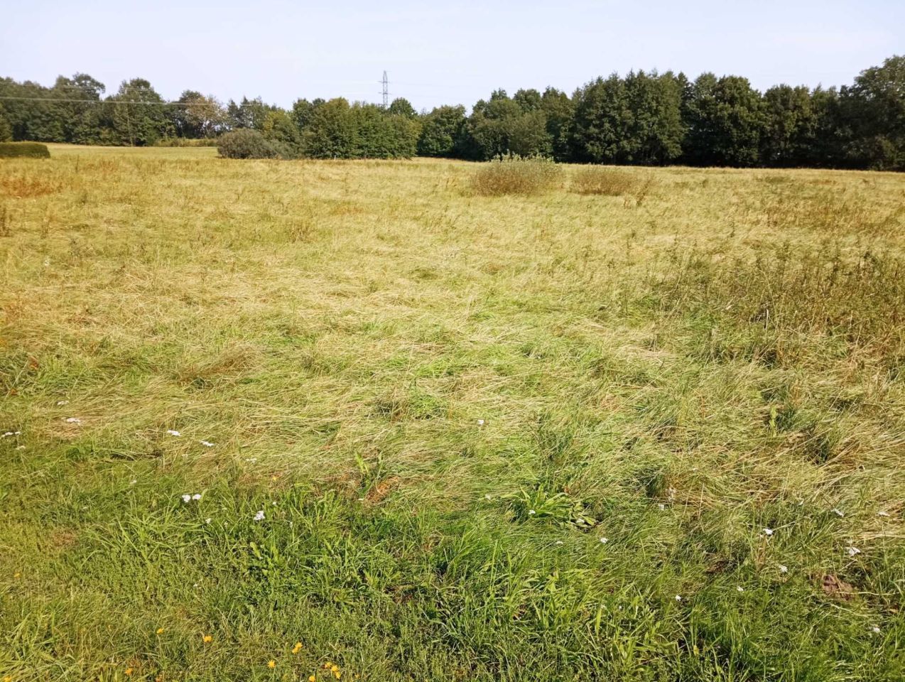 Działka rolna Objazda. Zdjęcie 2