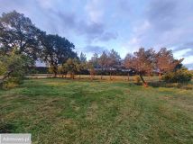 Działka budowlana Wilków. Zdjęcie 4