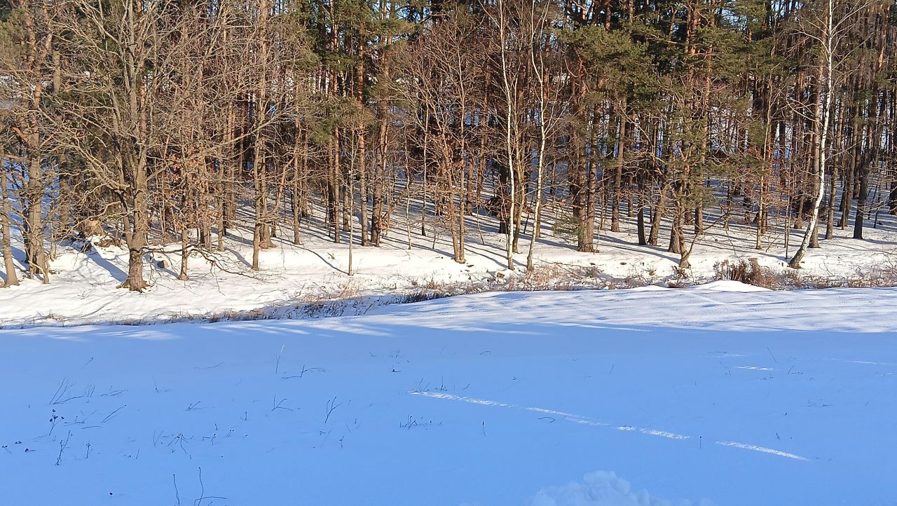 Działka budowlana Zbychowo, ul. Kaszubska. Zdjęcie 4