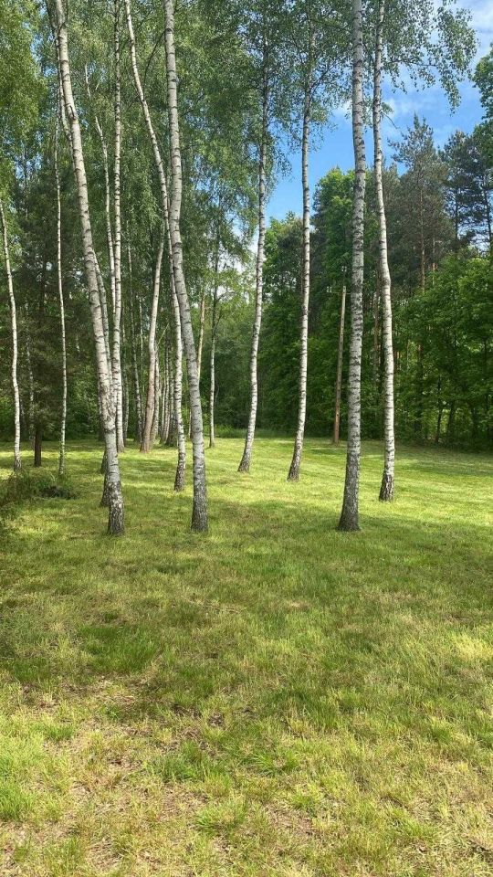 Działka budowlana Żary. Zdjęcie 2