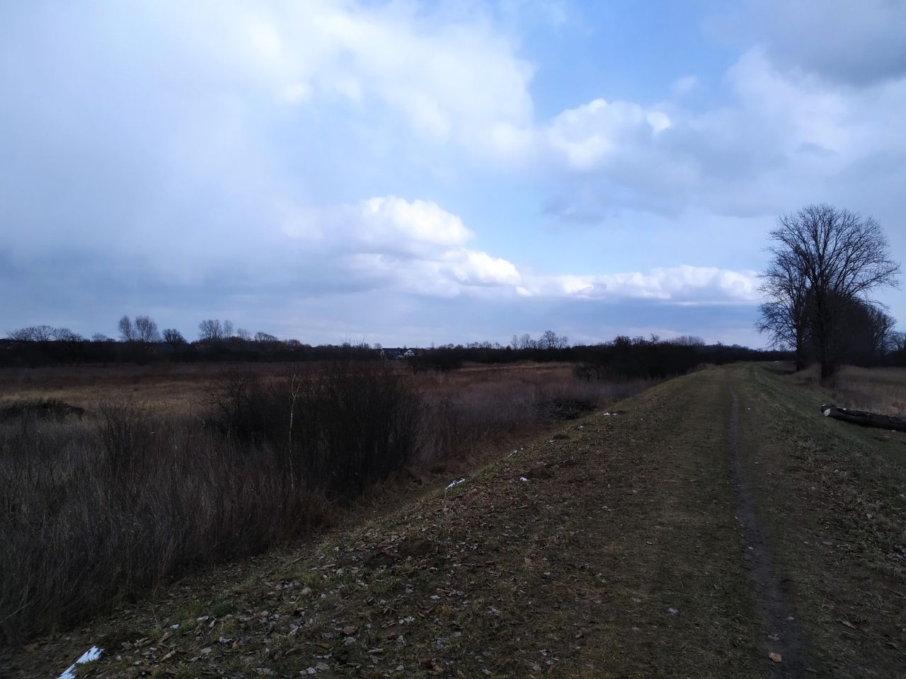 Działka rolno-budowlana Nadbrzeż, Wiślana. Zdjęcie 7