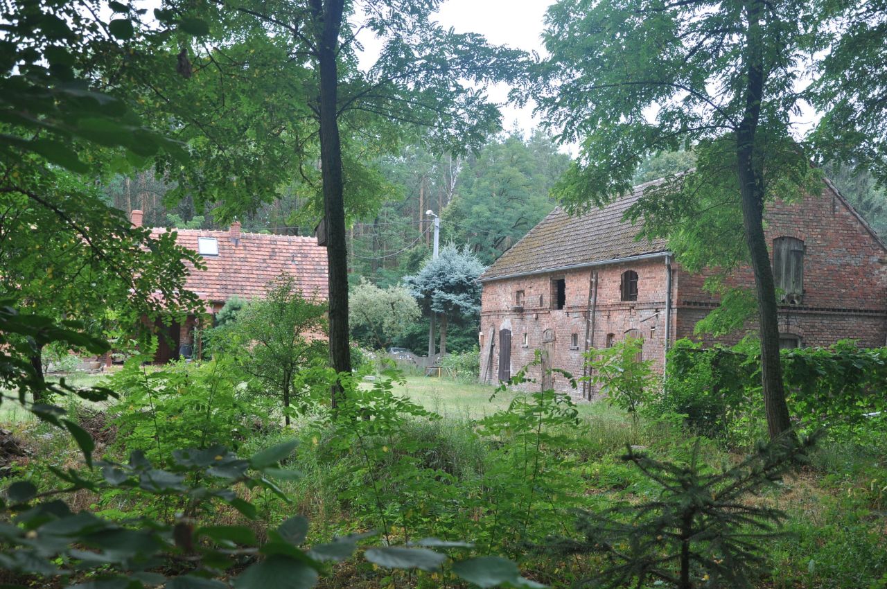 siedlisko, 4 pokoje Głodno