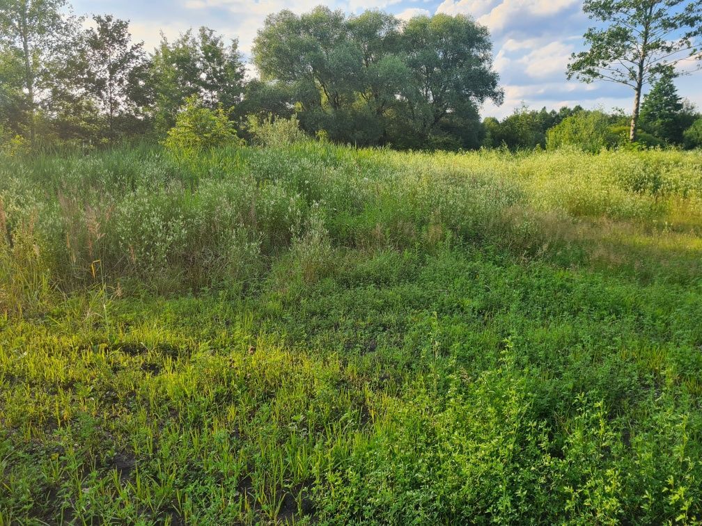 Działka budowlana Zawiercie Zuzanka, ul. Potok. Zdjęcie 5