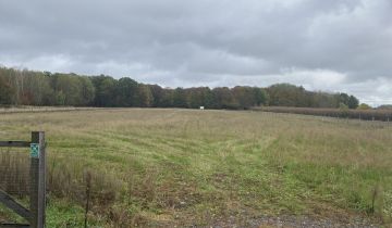 Działka inwestycyjna Kotliny