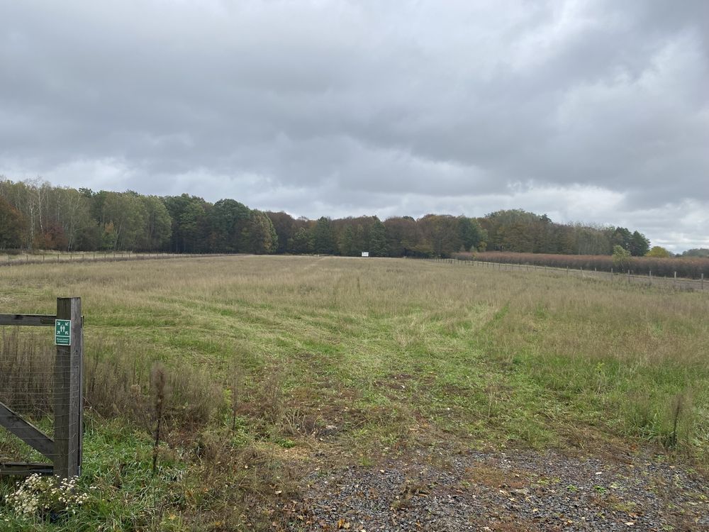 Działka inwestycyjna Kotliny. Zdjęcie 2