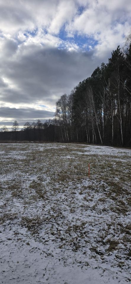 Działka siedliskowa Przychodzko. Zdjęcie 5