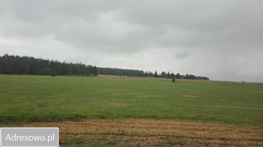 Działka rekreacyjna Filice. Zdjęcie 3