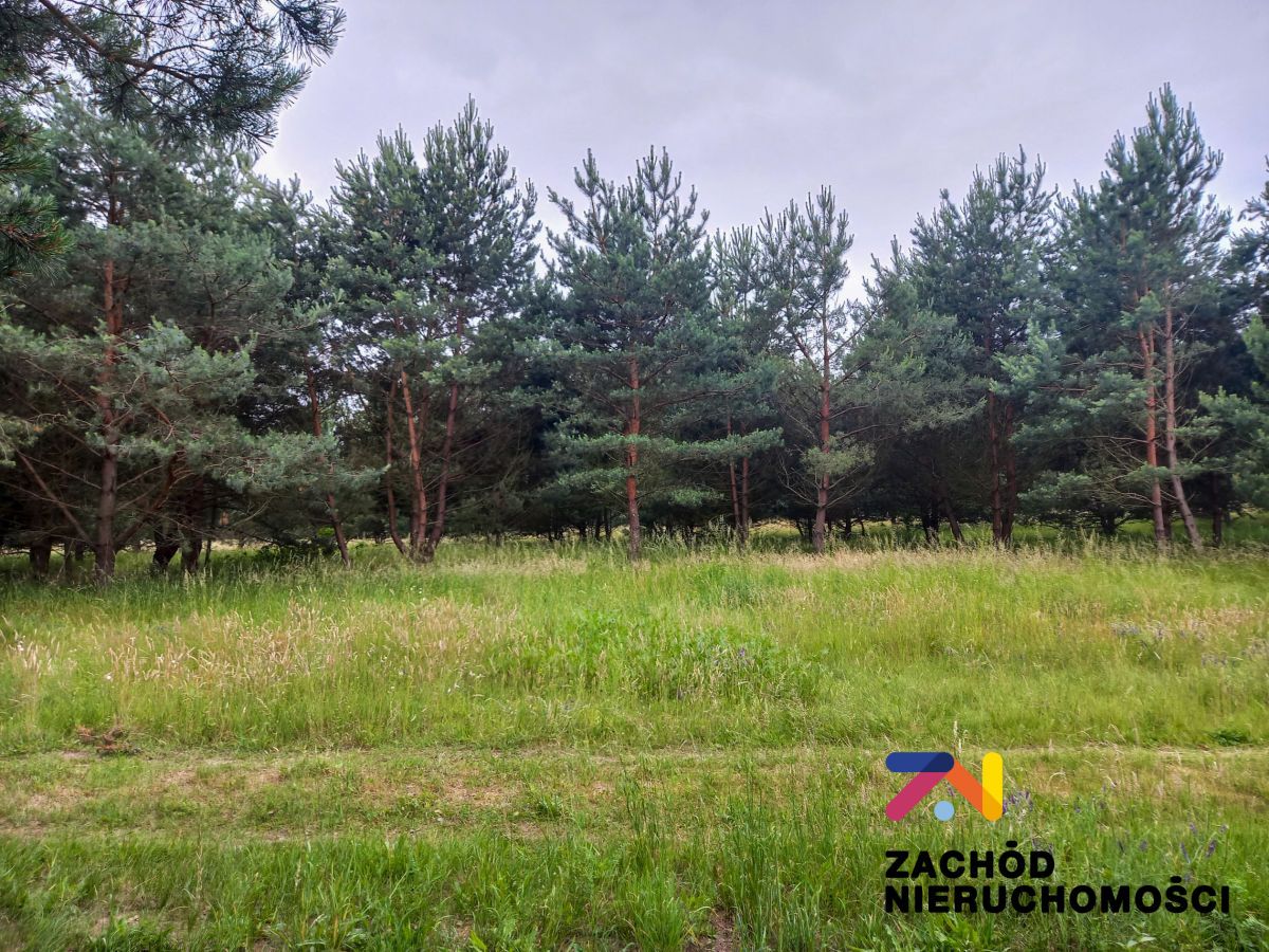 Działka budowlana Zabór. Zdjęcie 2