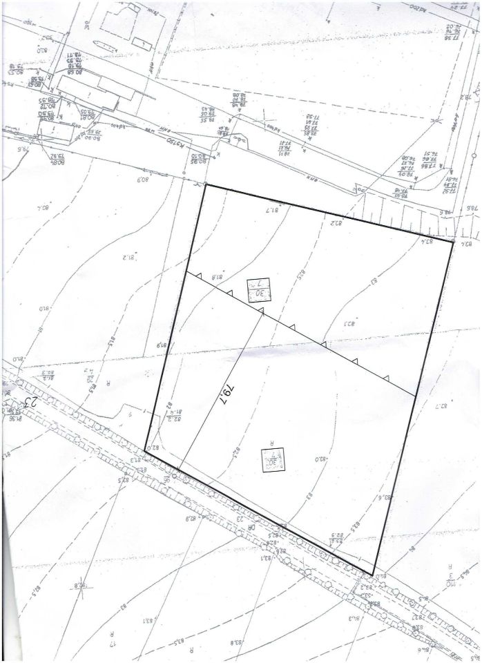 Działka rolno-budowlana Czarne Piątkowo. Zdjęcie 4