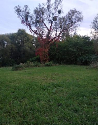 Działka budowlana Borowo-Młyn, ul. Starych Wierzb. Zdjęcie 1