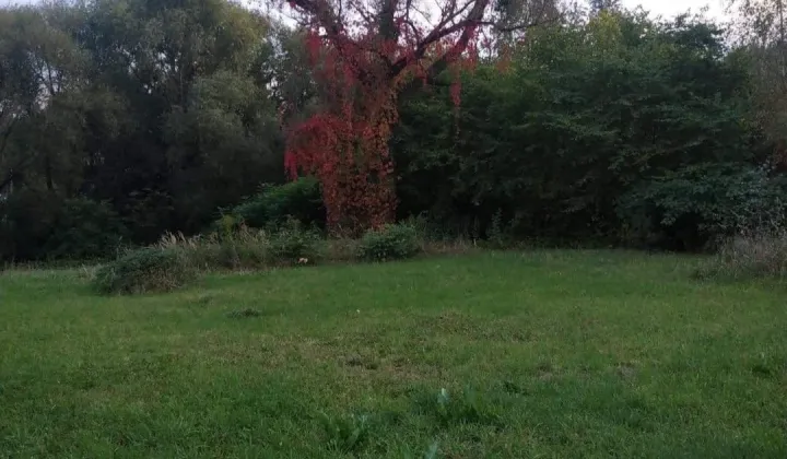 Działka budowlana Borowo-Młyn, ul. Starych Wierzb