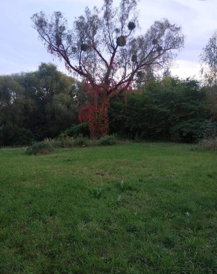 Działka budowlana Borowo-Młyn, ul. Starych Wierzb