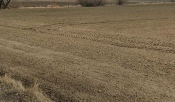 Działka budowlana Górsk, ul. Czeremchowa