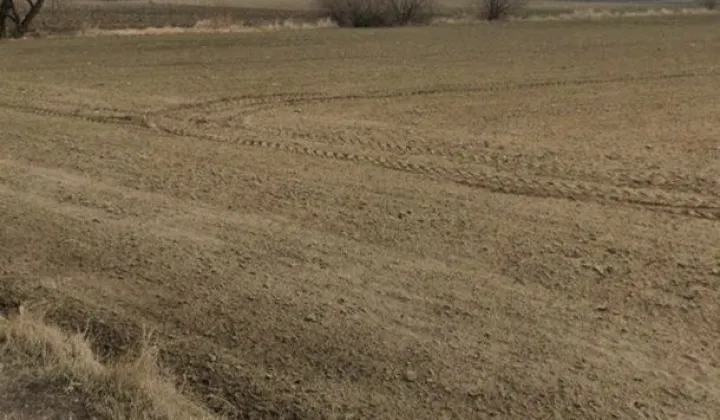 Działka budowlana Górsk, ul. Czeremchowa