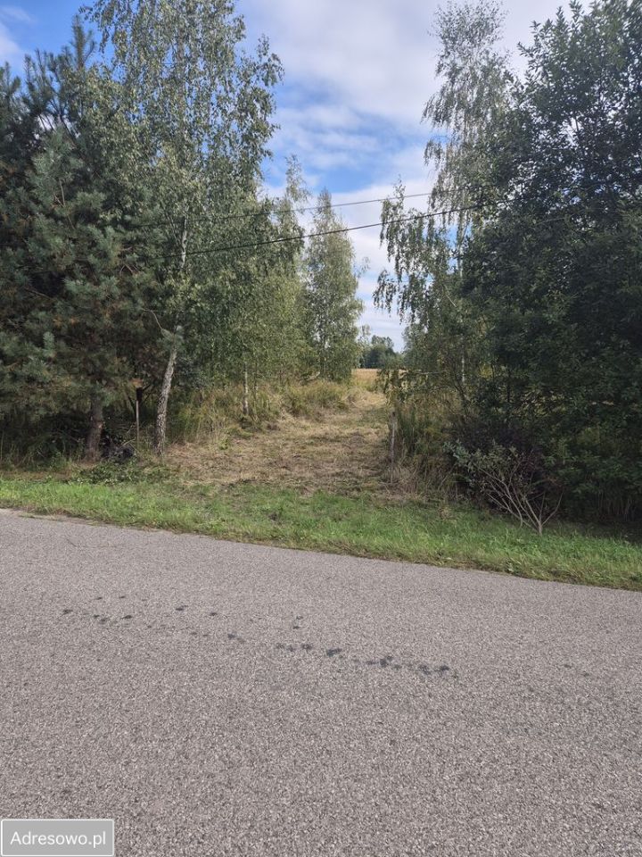 Działka budowlana Cholewy. Zdjęcie 2