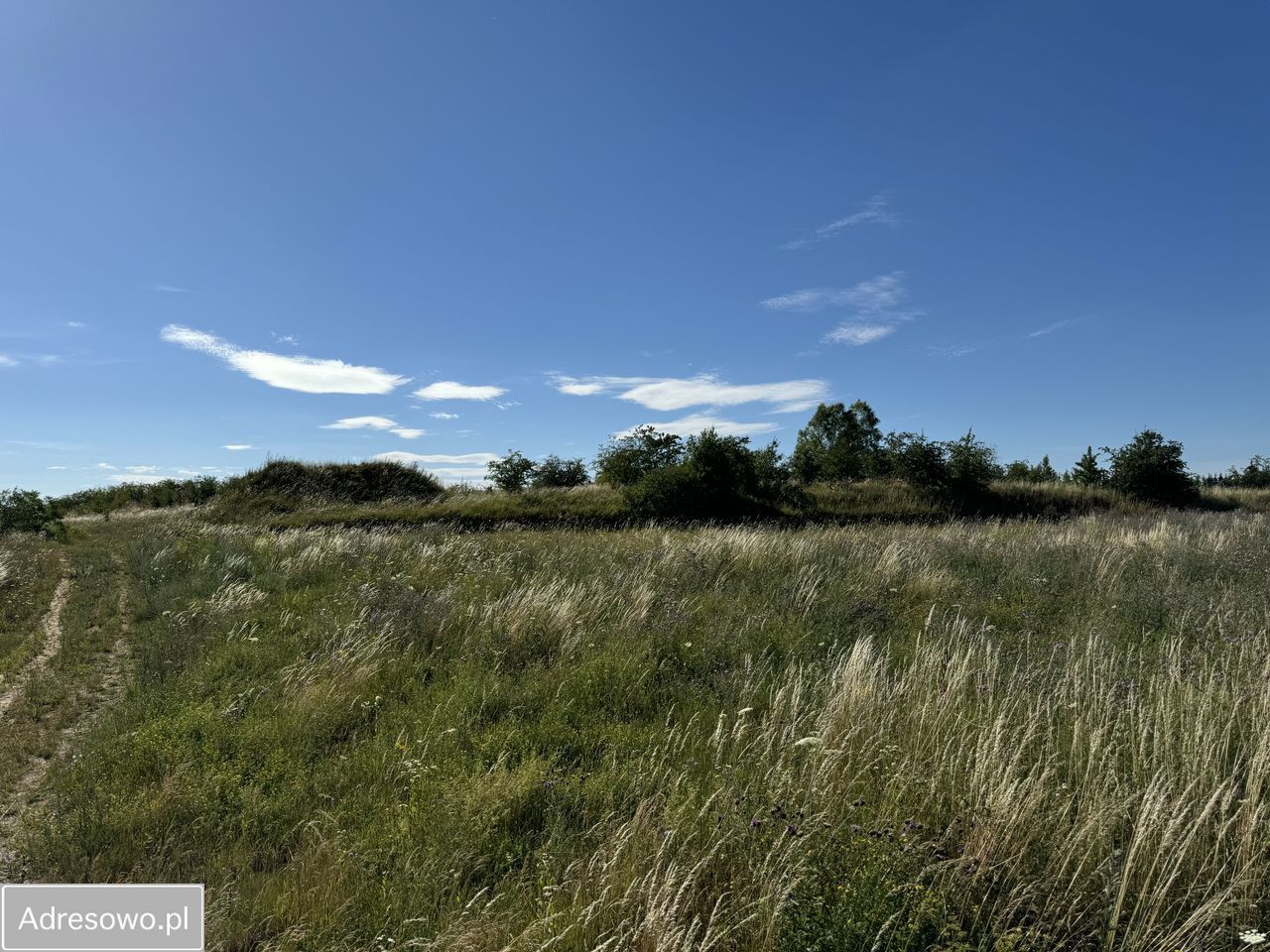 Działka budowlana Stare Sady. Zdjęcie 1