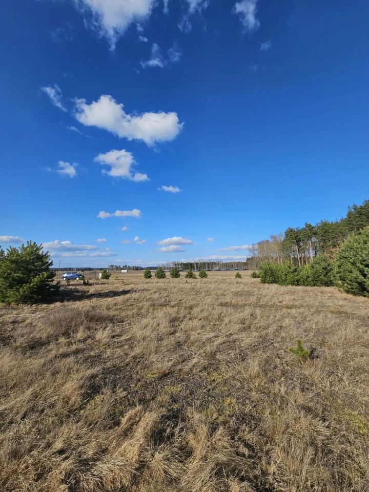 Działka budowlana Paruszka. Zdjęcie 7