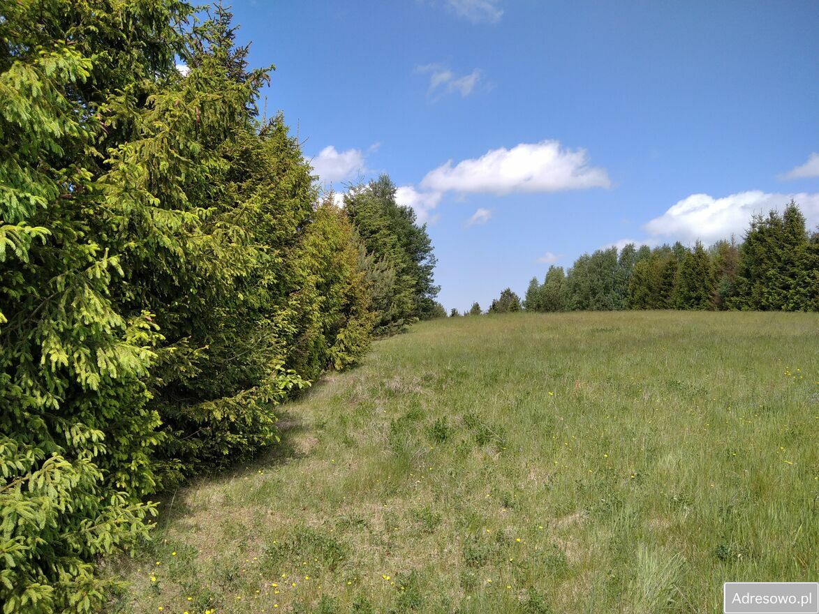 Działka budowlana Donimierz. Zdjęcie 3