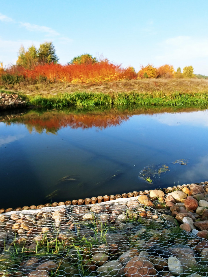 Działka rekreacyjna Wieliszew, ul. Willowa. Zdjęcie 3