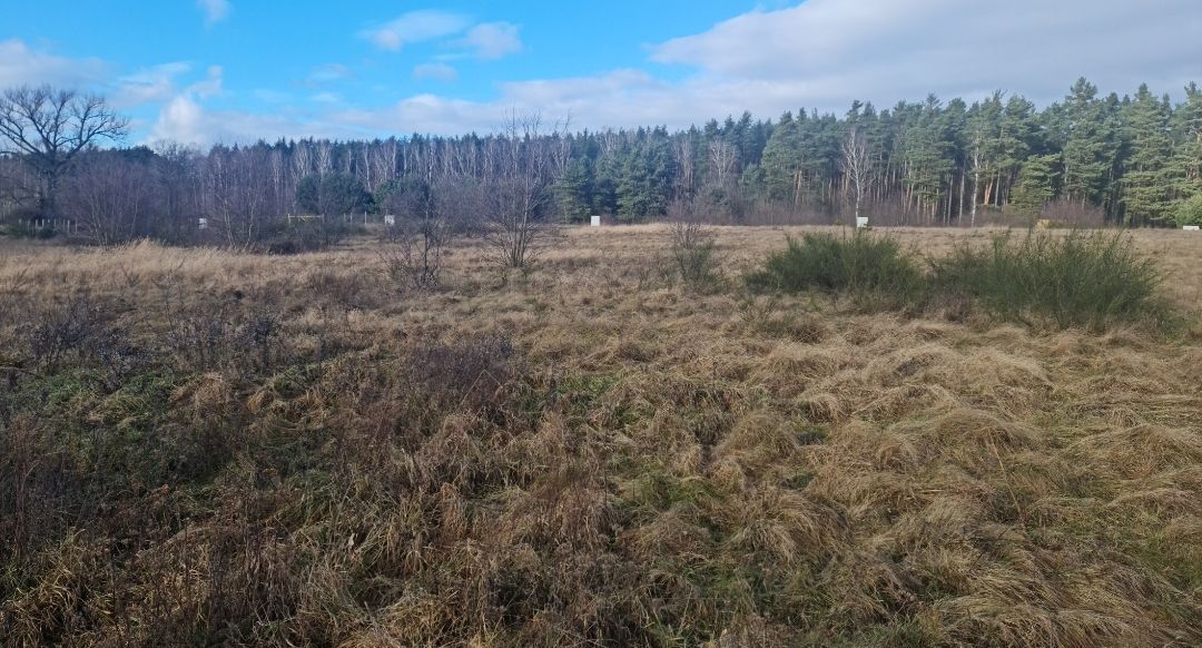 Działka budowlana Zimna Woda. Zdjęcie 11