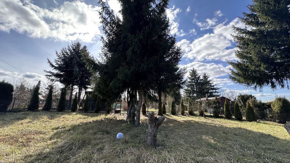 Działka rod Sochaczew. Zdjęcie 7