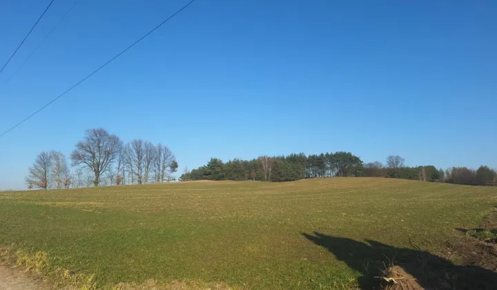 Działka rolna Kikół