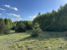 Działka rolno-budowlana Lipiny. Zdjęcie 3