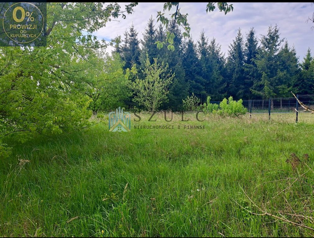 Działka rolno-budowlana Płociczno-Tartak. Zdjęcie 4