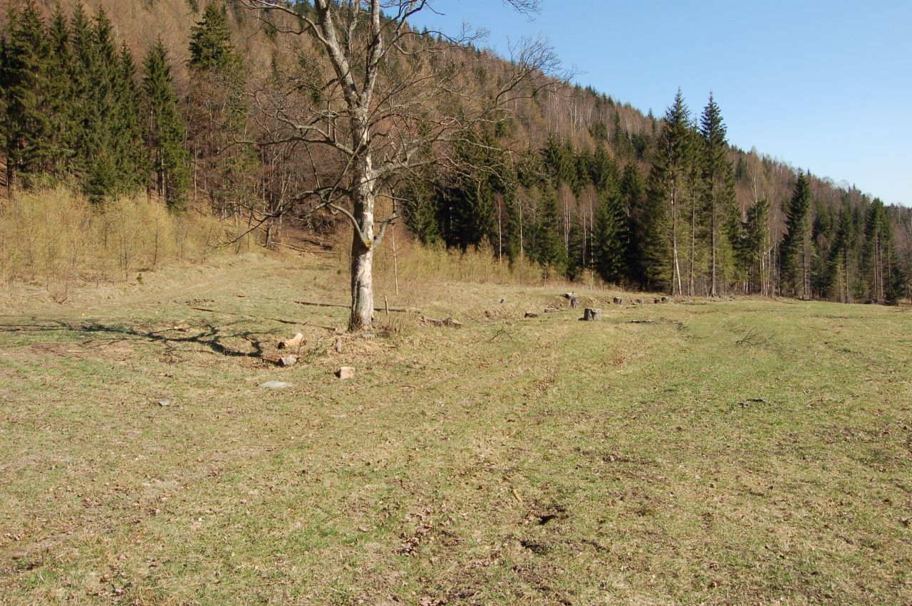 Działka rolna Jarkowice. Zdjęcie 3
